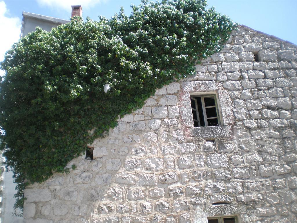 Villa Lidija Budva Habitación foto