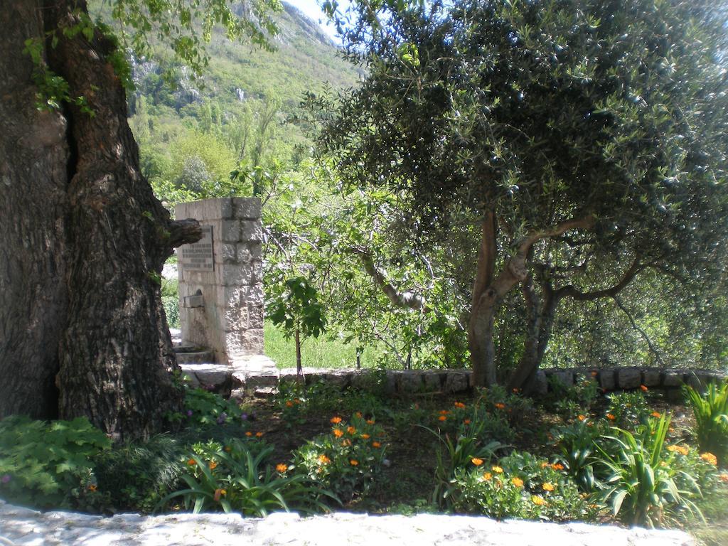 Villa Lidija Budva Habitación foto